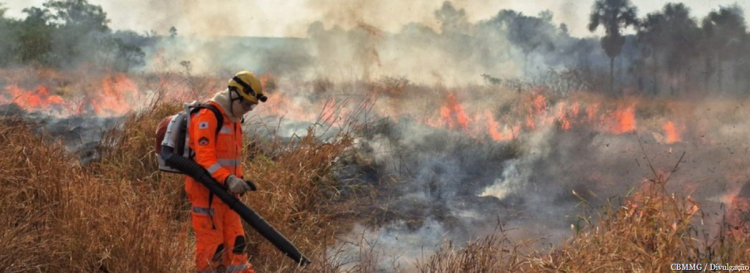 Minas Gerais reduz focos de incêndio em Unidades de Conservação em até 57% com investimentos superiores a R$ 20 milhões