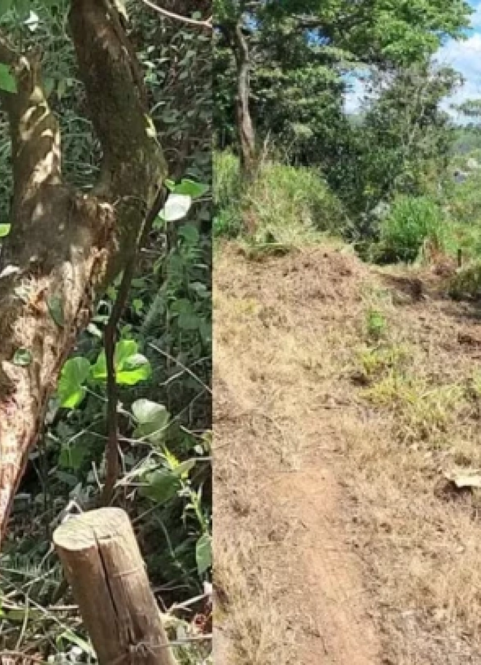 Mulher morre após carro cair em abismo na MG-164