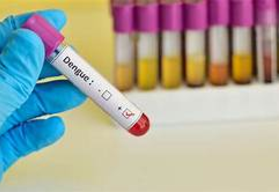 Primeiro LIRAa de 2022 mostrou índice de infecção de 5,1% da epidemia de dengue em Pará de Minas