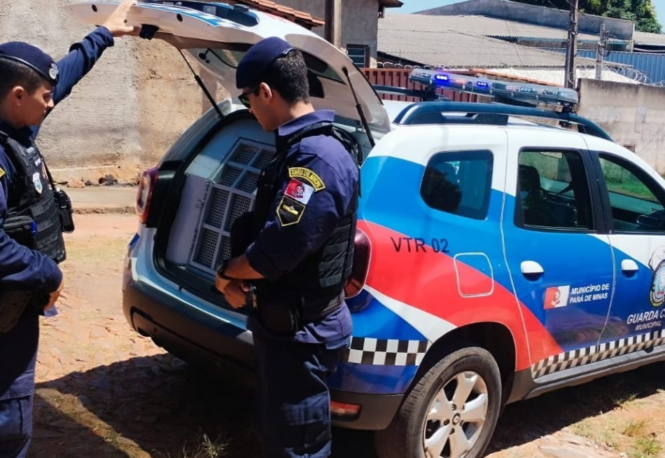 Homem é preso após ameaçar a mãe de 75 anos na Vila Ferreira