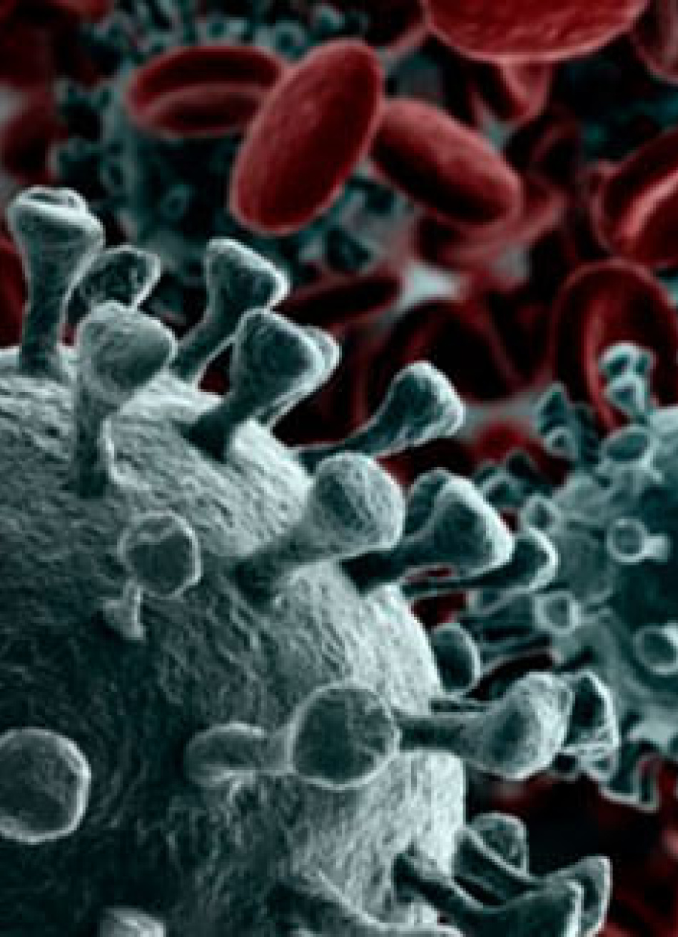 Com 38 novos casos confirmados da Covid-19 nas últimas 24 horas, Pará de Minas já registrou 3.328 exames positivos da doença