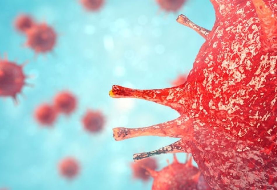 Minas Gerais registrou 1.880.519 exames positivos da Covid-19, sendo 7.770 novos casos confirmados nas últimas 24 horas