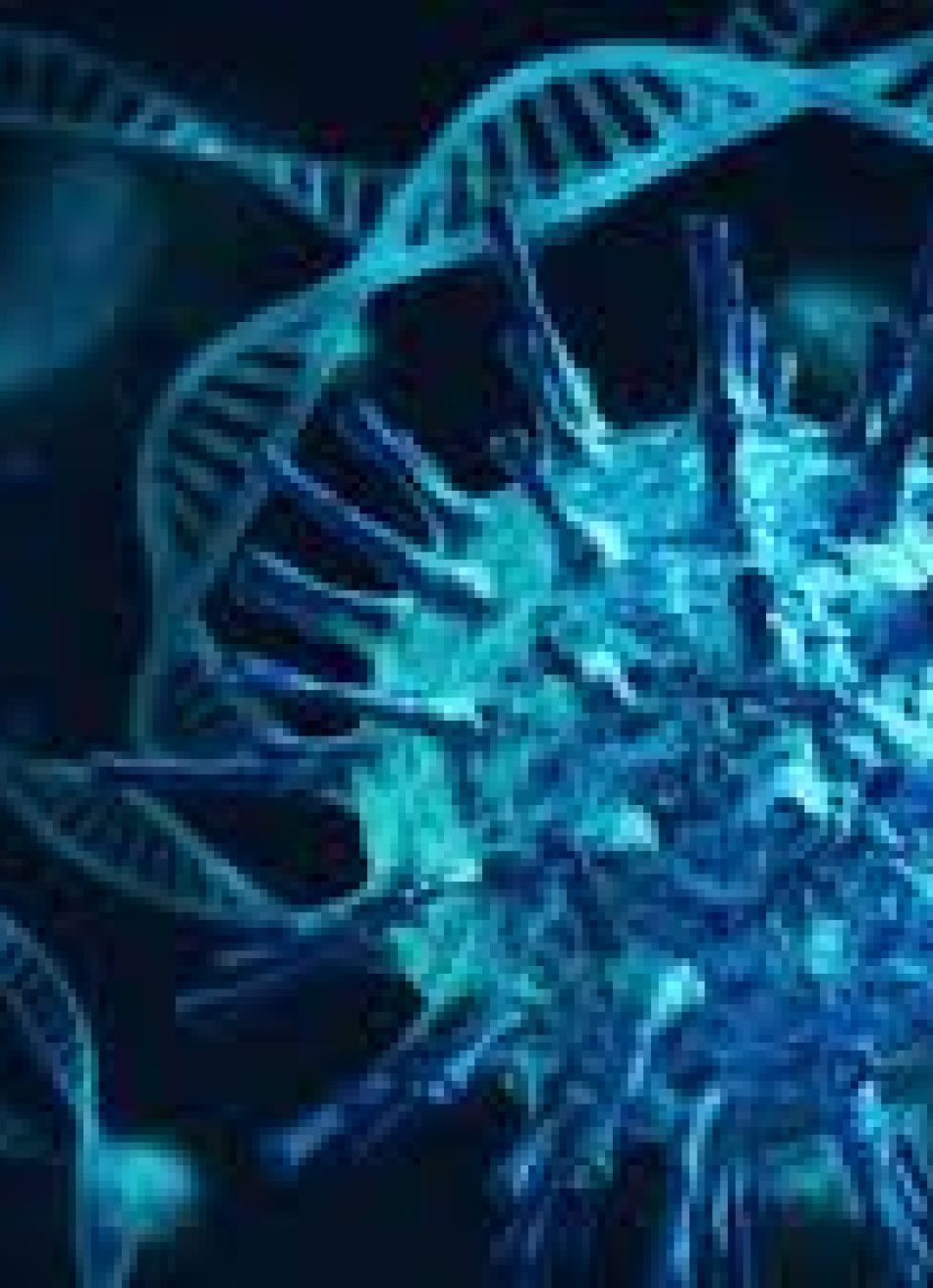 Minas Gerais registrou 883.105 casos confirmados 18.598 mortes pela Covid-19