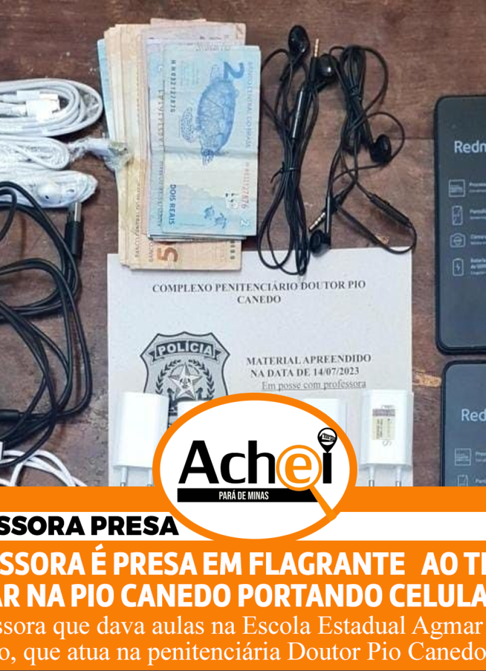 PROFESSORA É PRESA AO TENTAR ENTRAR NA PIO CANEDO COM CELULARES E DINHEIRO.