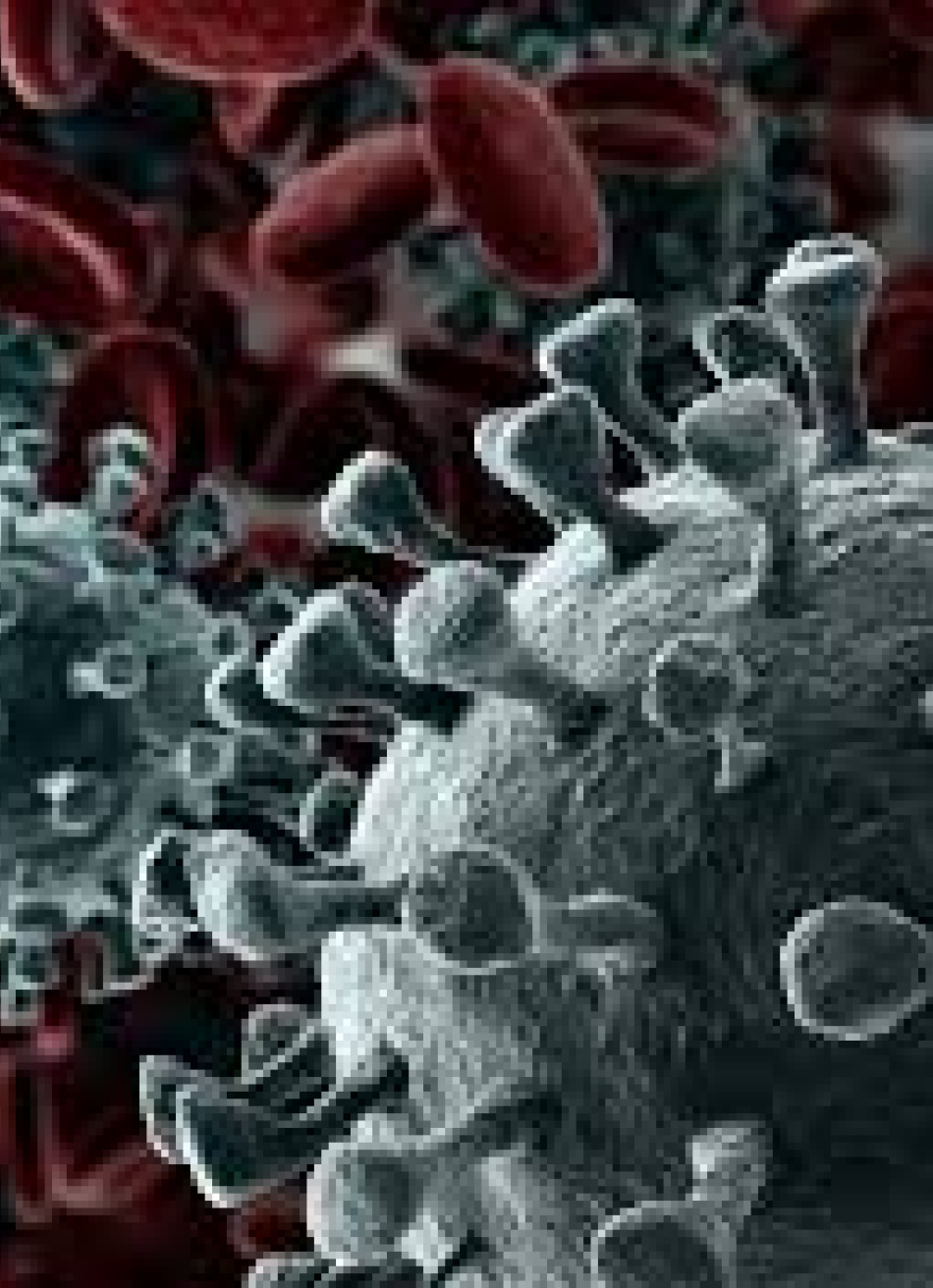 Minas Gerais tem 522.331 casos confirmados da Covid-19