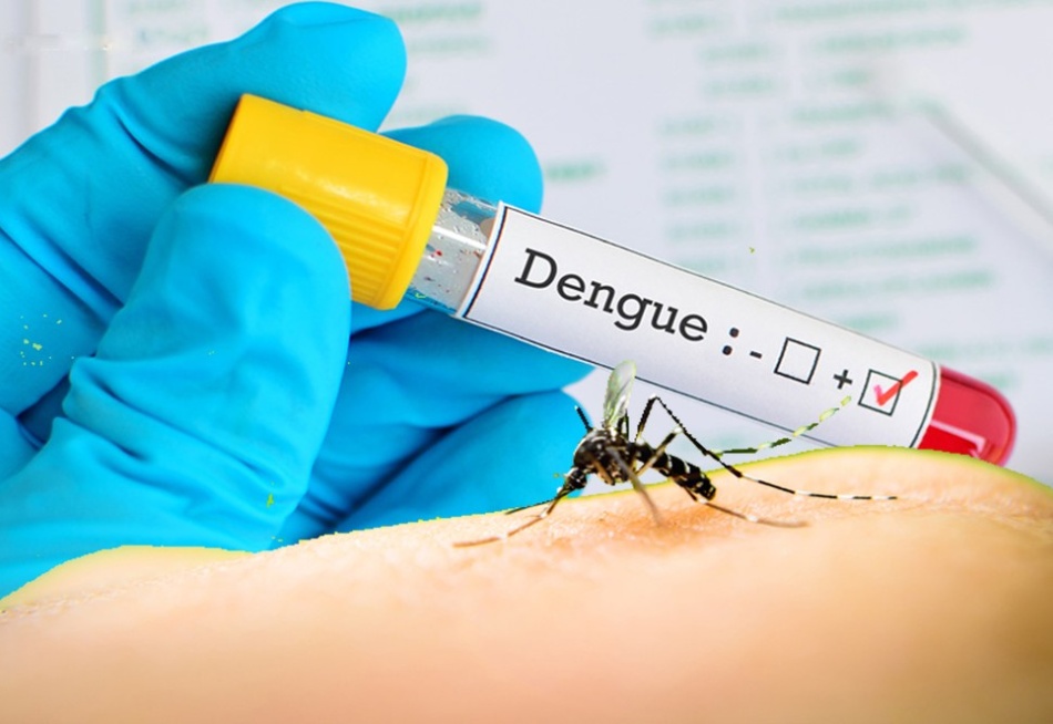 Secretaria de Estado de Saúde confirmou quatro casos de Dengue em Pará de Minas na primeira semana de janeiro de 2022